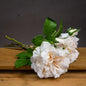 Peachy Cream Short Stem Rose Bouquet