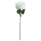Single White Hydrangea