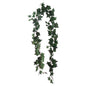 Ivy Garland