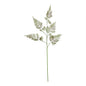 The Natural Garden Collection Large Bracken Fern Spray