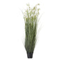 Large White Meadow Plant In Pot