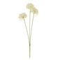 Three Head Cream Allium Spray