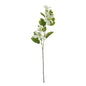 Cream Bauhinia Orchid Spray