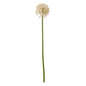 Pink Medium Allium Stem