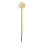 Cream Medium Allium Stem